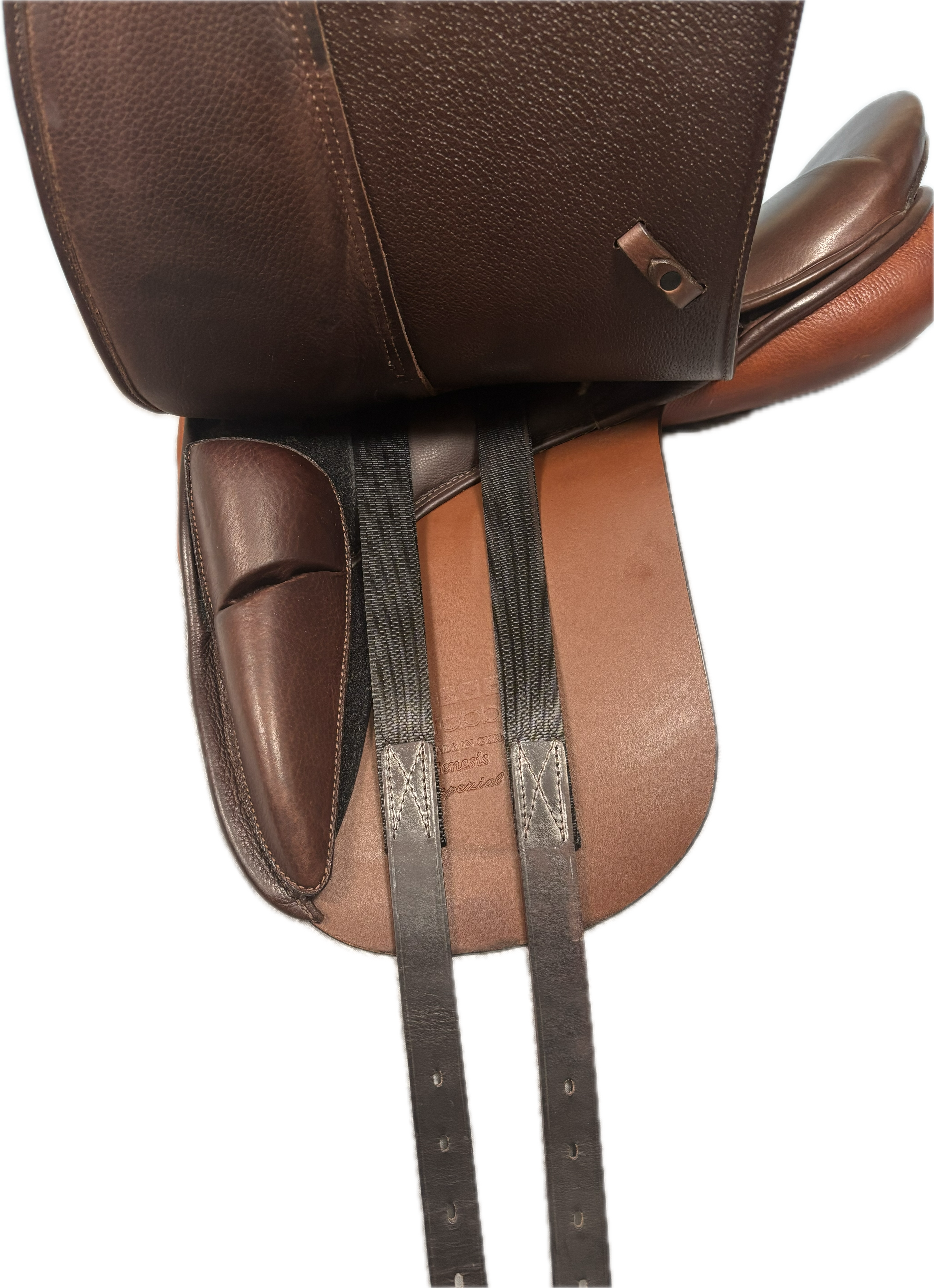D Genesis Special *17.5"/27cm*