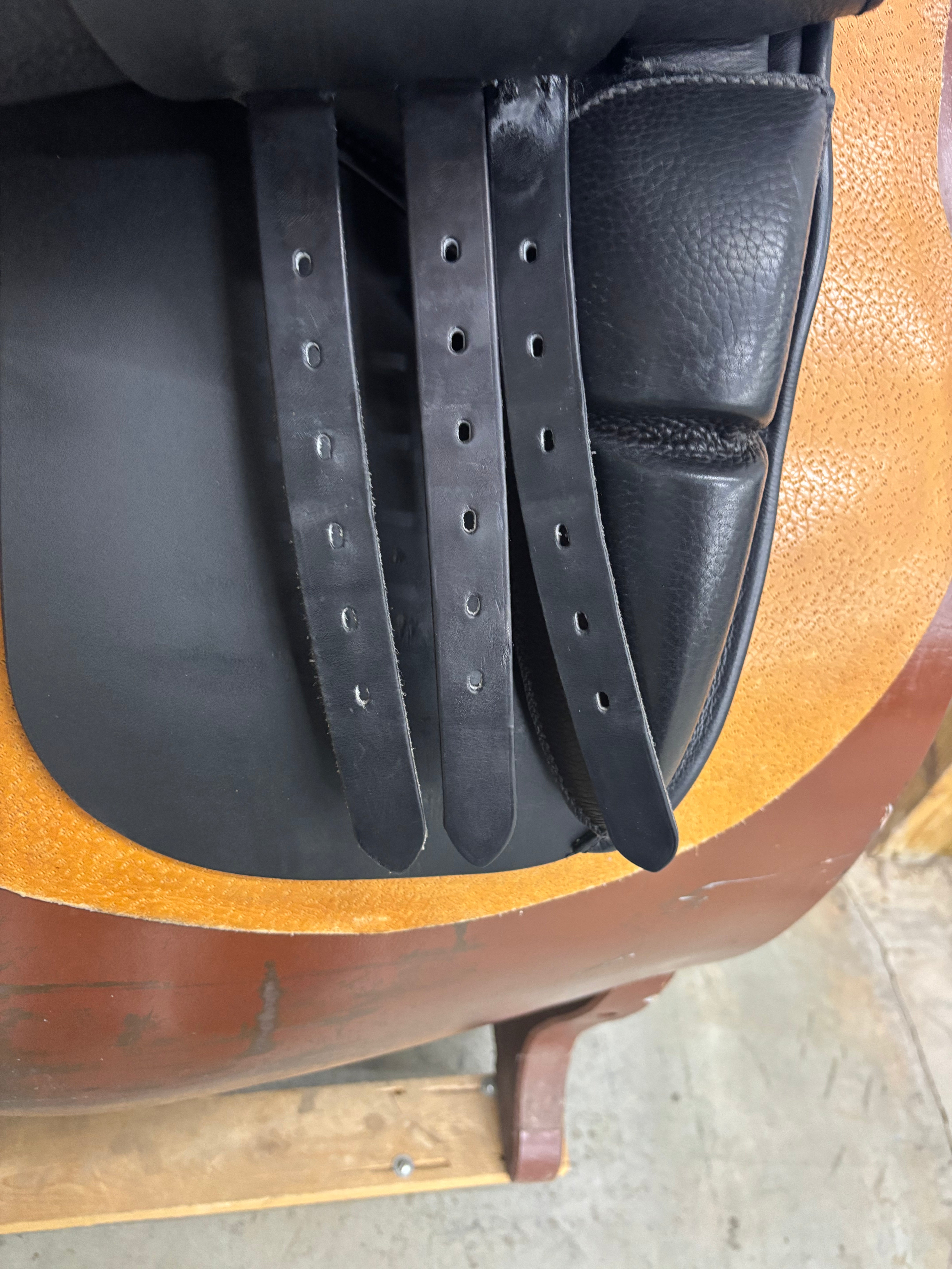 D Genesis Special *18"/30cm*