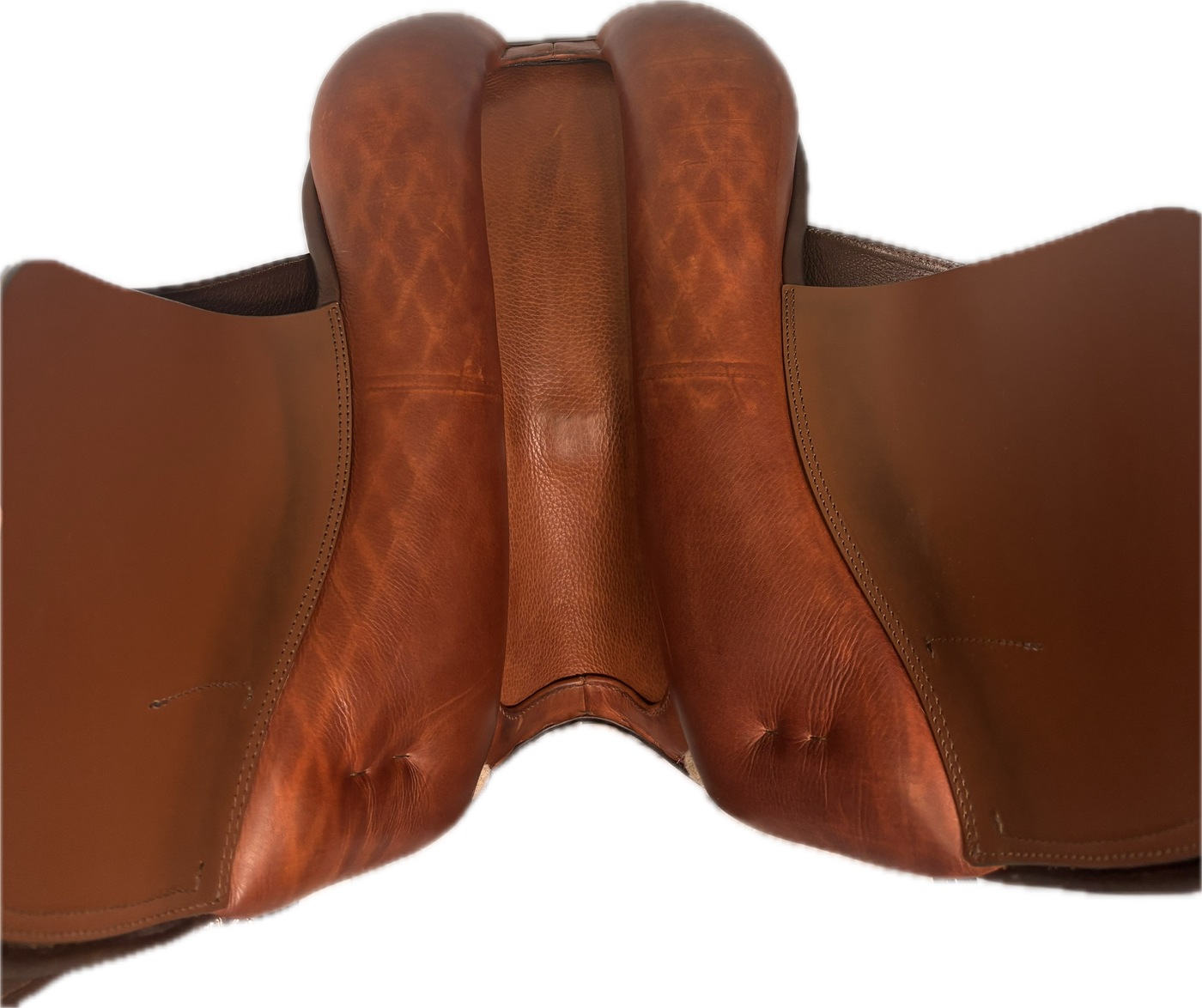 D Genesis Special *17.5"/27cm*
