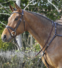 Breastplate Side Fit with Running Attachment