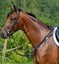 Breastplate with Elastic and Running Attachment